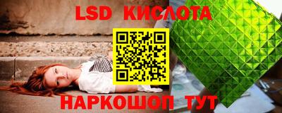 Альфа ПВП Ставрополь