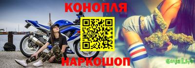 Альфа ПВП Ставрополь