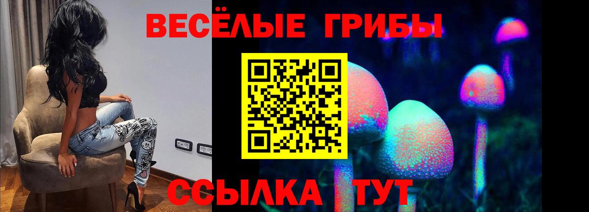 Нижнеудинск  Псилоцибиновые грибы Magic Shrooms  Вход с VPN  Псилоцибиновые грибы Psilocybine cubensis 